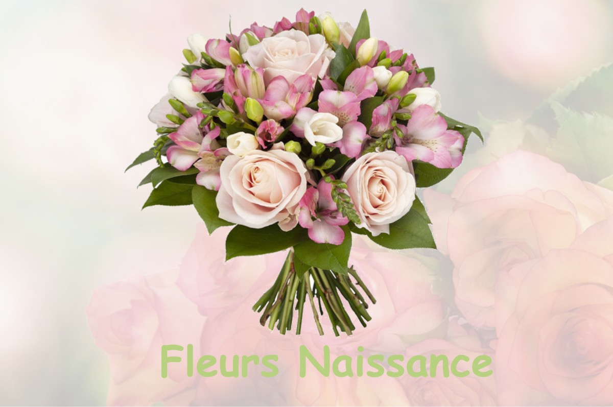 fleurs naissance PARLEBOSCQ